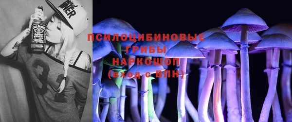 скорость Богородицк