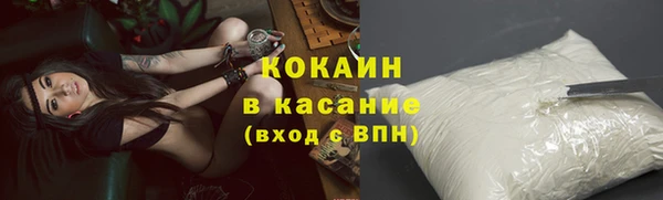 МДПВ Богородск