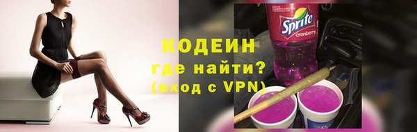 МДПВ Богородск