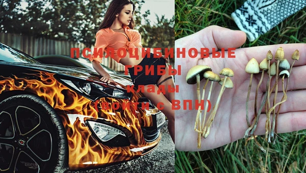 каннабис Бронницы
