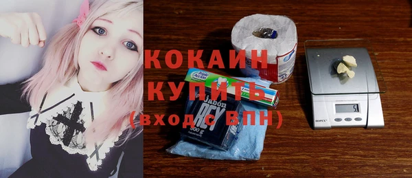 МДПВ Богородск