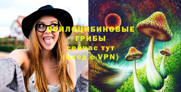 скорость Богородицк
