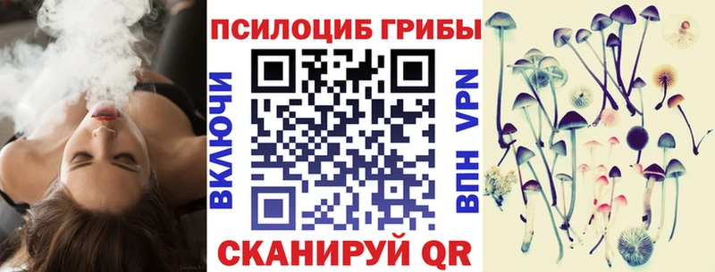 Купить где  Конаково  Псилоцибиновые грибы Magic Shrooms 